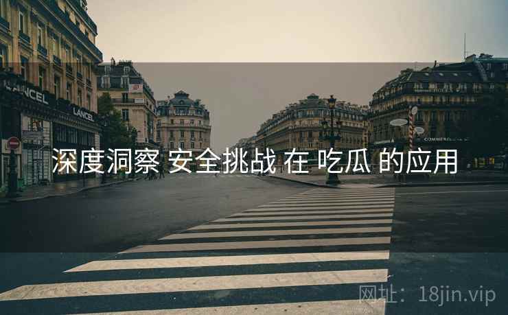 深度洞察 安全挑战 在 吃瓜 的应用