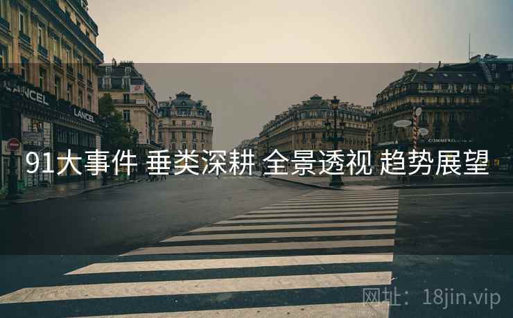 91大事件 垂类深耕 全景透视 趋势展望