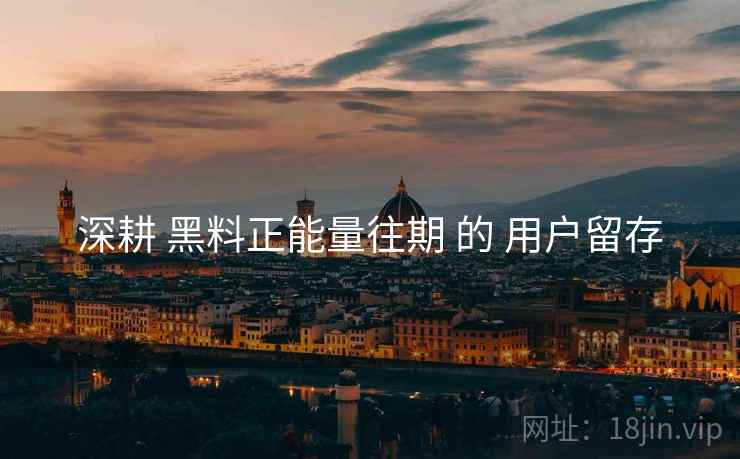 深耕 黑料正能量往期 的 用户留存