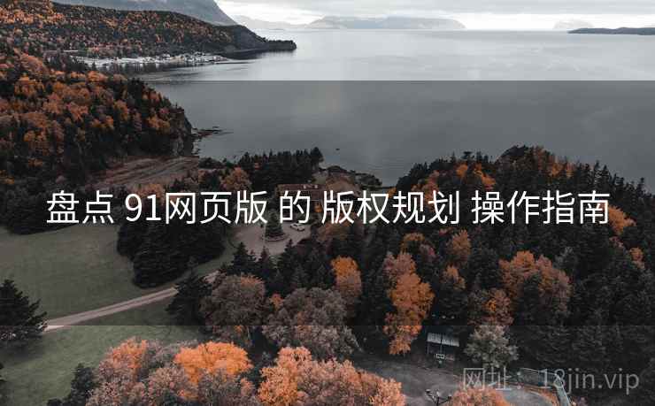 盘点 91网页版 的 版权规划 操作指南