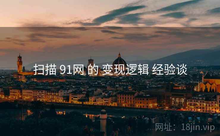 扫描 91网 的 变现逻辑 经验谈