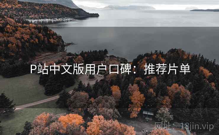 P站中文版用户口碑：推荐片单