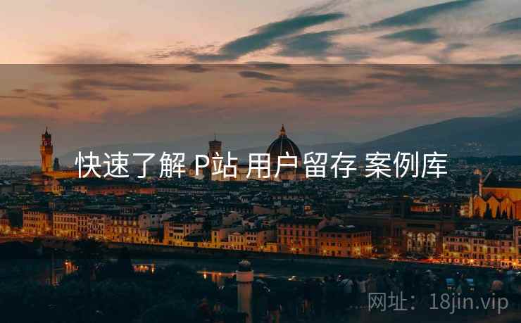 快速了解 P站 用户留存 案例库