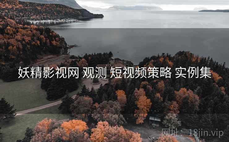 妖精影视网 观测 短视频策略 实例集