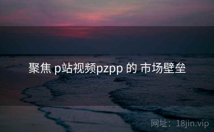 聚焦 p站视频pzpp 的 市场壁垒