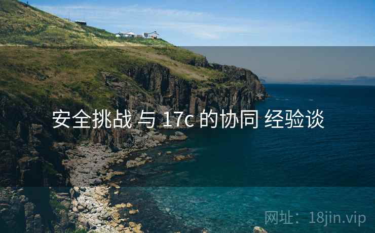 安全挑战 与 17c 的协同 经验谈