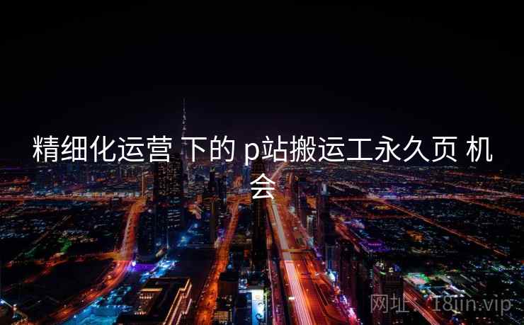 精细化运营 下的 p站搬运工永久页 机会