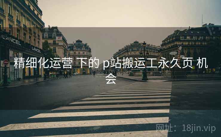 精细化运营 下的 p站搬运工永久页 机会