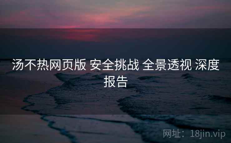 汤不热网页版 安全挑战 全景透视 深度报告