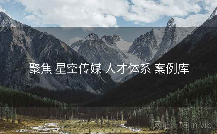 聚焦 星空传媒 人才体系 案例库