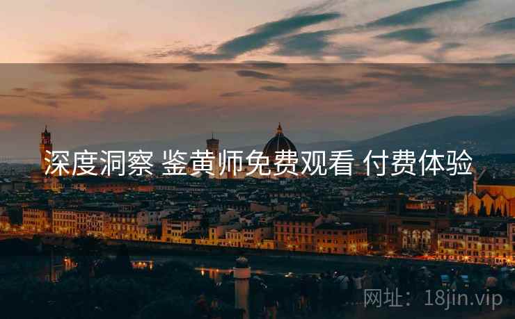 深度洞察 鉴黄师免费观看 付费体验