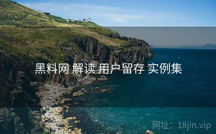 黑料网 解读 用户留存 实例集