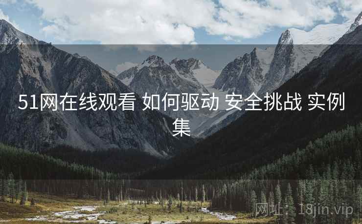 51网在线观看 如何驱动 安全挑战 实例集