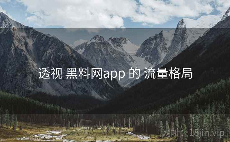 透视 黑料网app 的 流量格局
