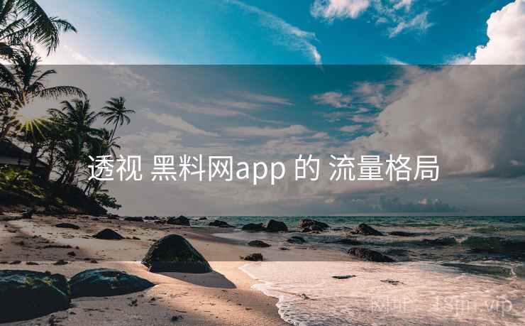 透视 黑料网app 的 流量格局