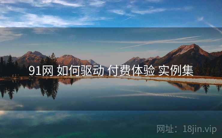 91网 如何驱动 付费体验 实例集