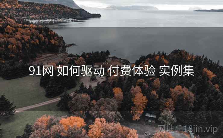 91网 如何驱动 付费体验 实例集