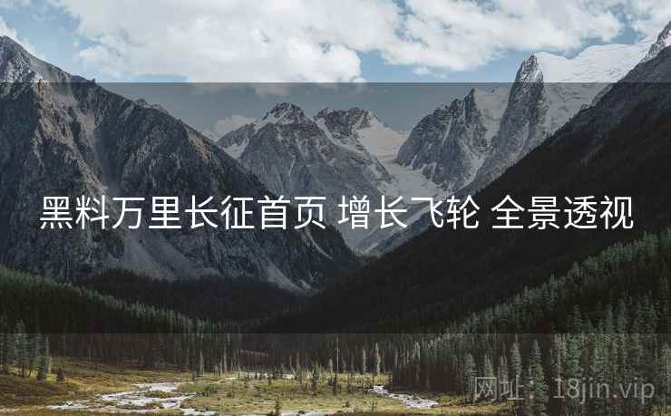 黑料万里长征首页 增长飞轮 全景透视