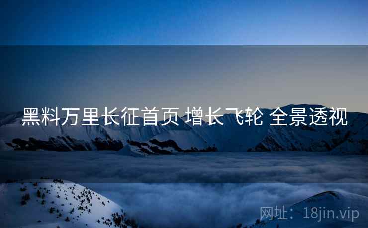 黑料万里长征首页 增长飞轮 全景透视